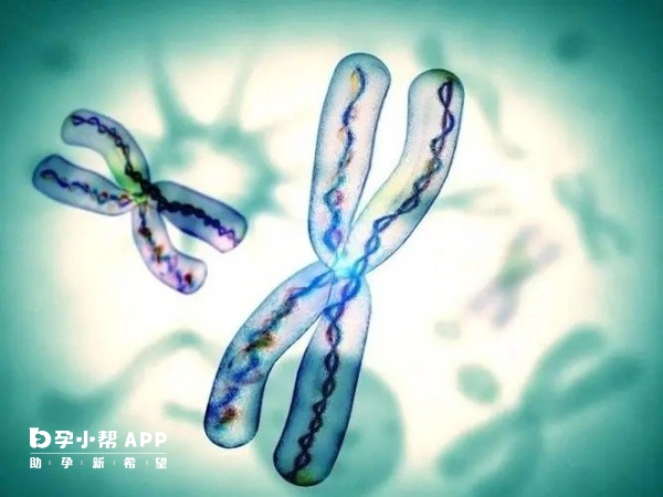 孕妇禁吃蔬菜