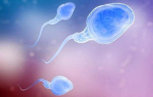 婴儿最熬人是几个月