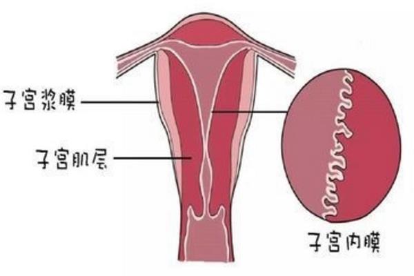 婴儿聪不聪明看眼神
